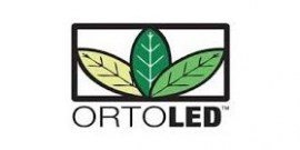 LOGO ORTOLED